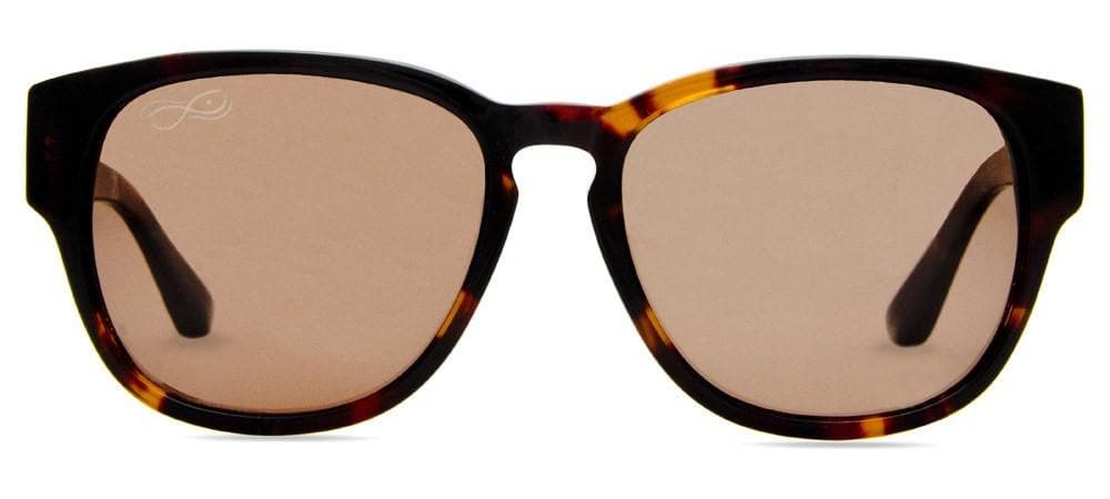 New Big Buddha Aviator Sunglasses Tortoise Big Buddha | Accessories | New Big Buddha Aviator Sunglasses  main image 2